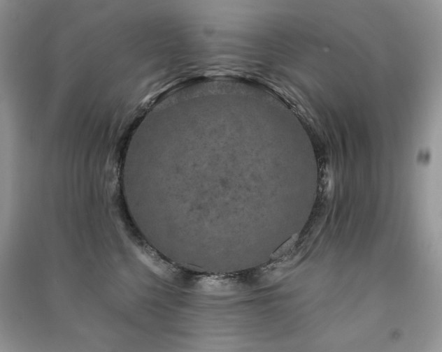 X0000091210568200708091349