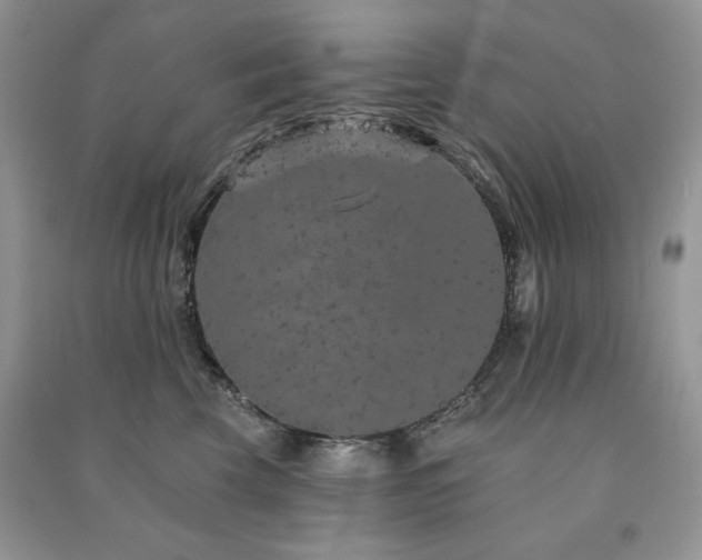 X0000091210569200708091350