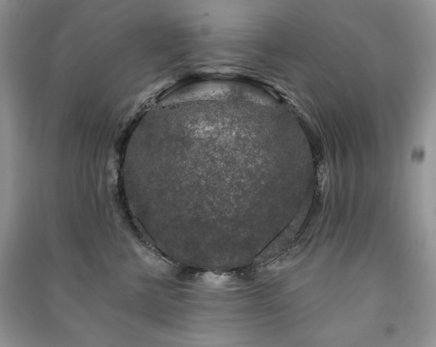 X0000091210570200708091350