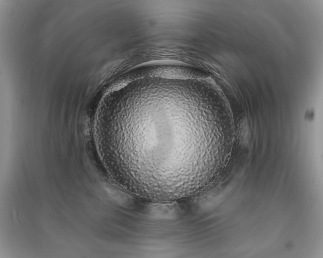 X0000091210571200708091350