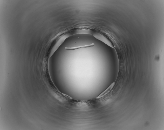 X0000091210572200708091350