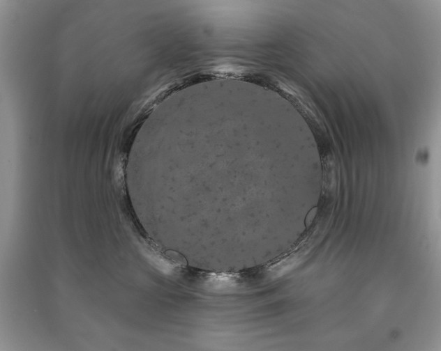 X0000091210573200708091350