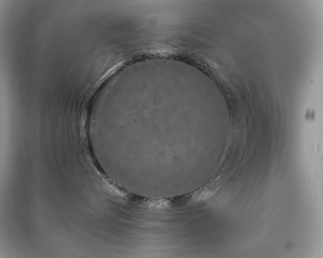 X0000091210576200708091350