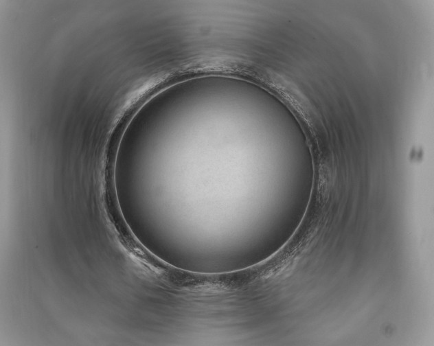 X0000091210578200708091349