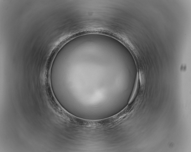 X0000091210579200708091349