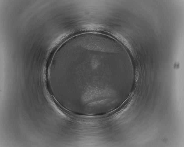 X0000091210581200708091349