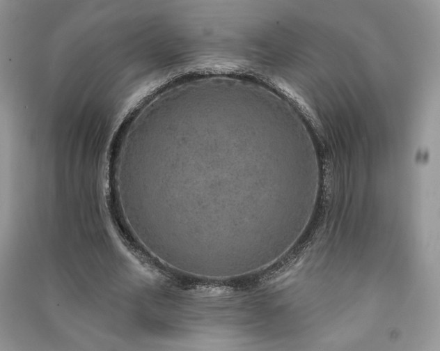 X0000091210582200708091349