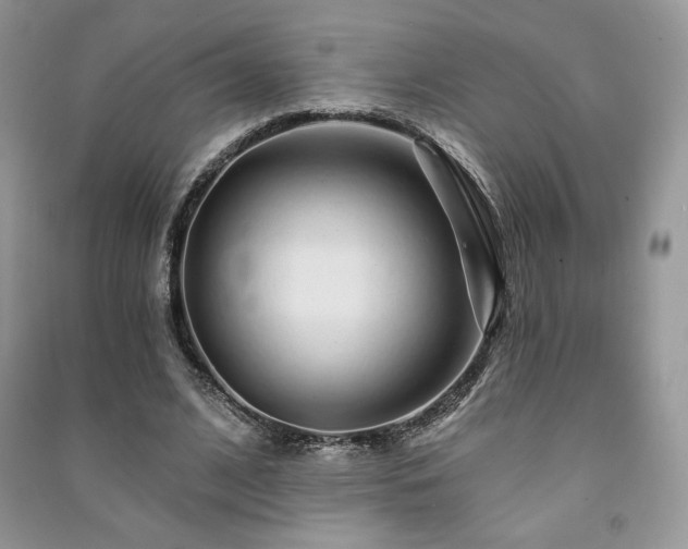 X0000091210584200708091349