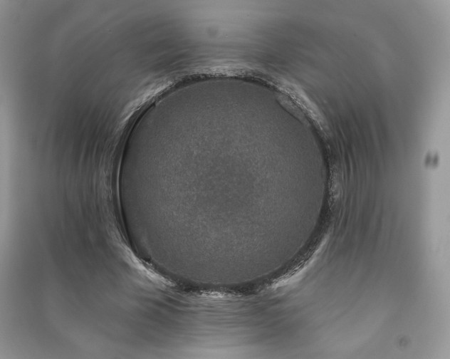 X0000091210585200708091349