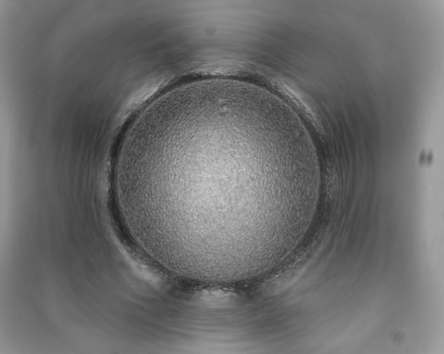 X0000091210586200708091349