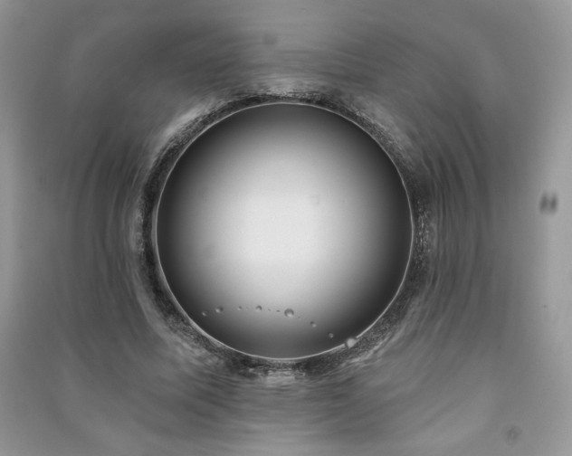 X0000091210587200708091349