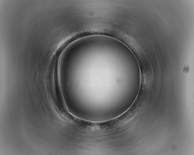 X0000091210588200708091349