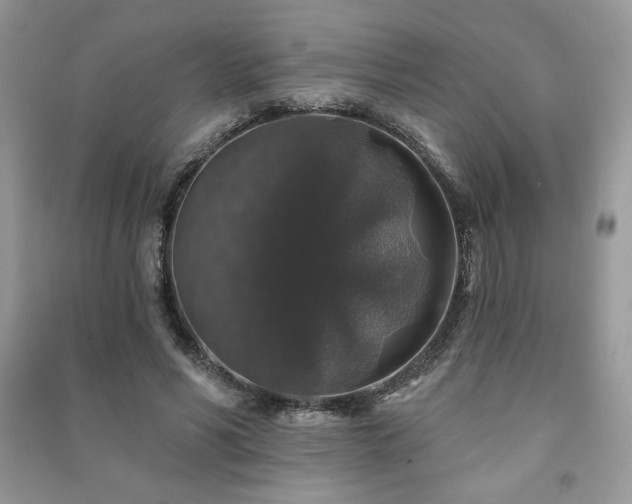 X0000091210590200708091349