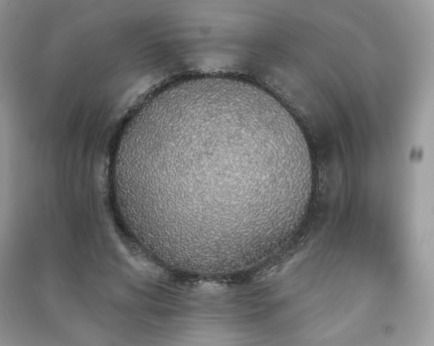 X0000091210592200708091349