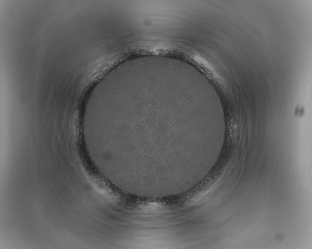 X0000091210594200708091349