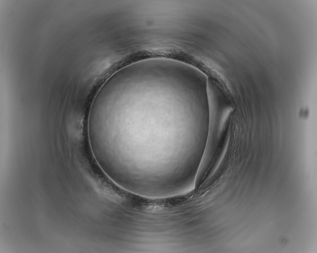 X0000091210596200708091349