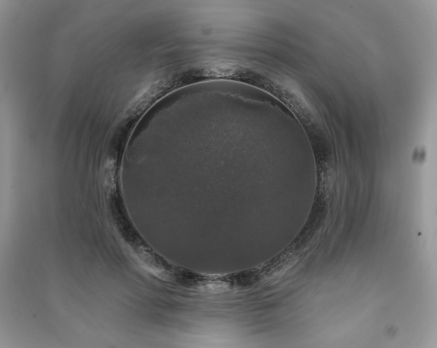 X0000091210598200708091349
