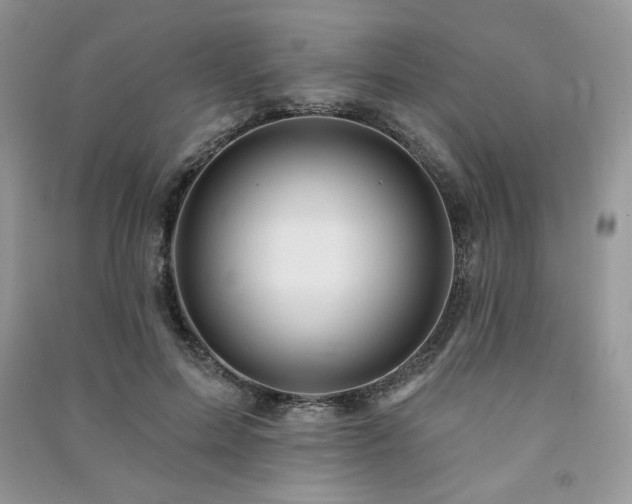X0000091210599200708091349