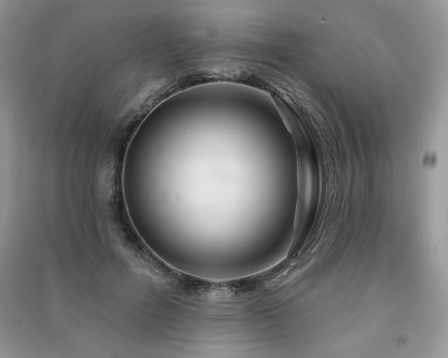 X0000091210600200708091349