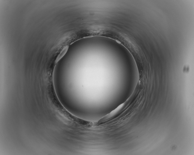 X0000091210601200708091349