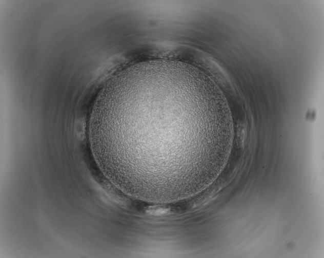 X0000091210602200708091349