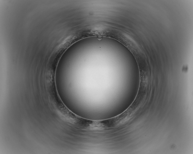 X0000091210603200708091349