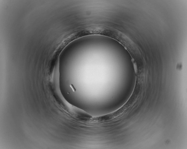 X0000091210604200708091349