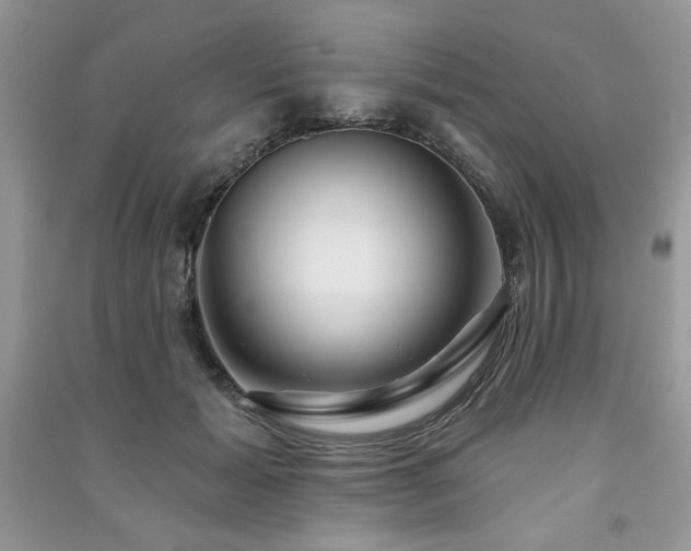 X0000091210605200708091349