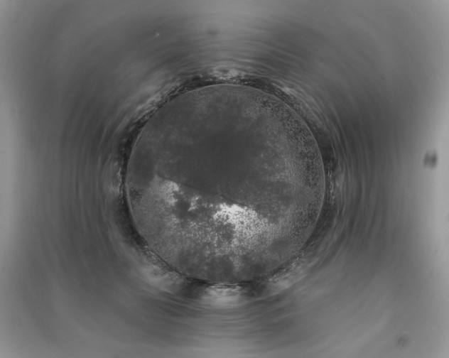 X0000091210606200708091349
