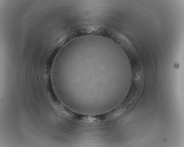 X0000091210607200708091349
