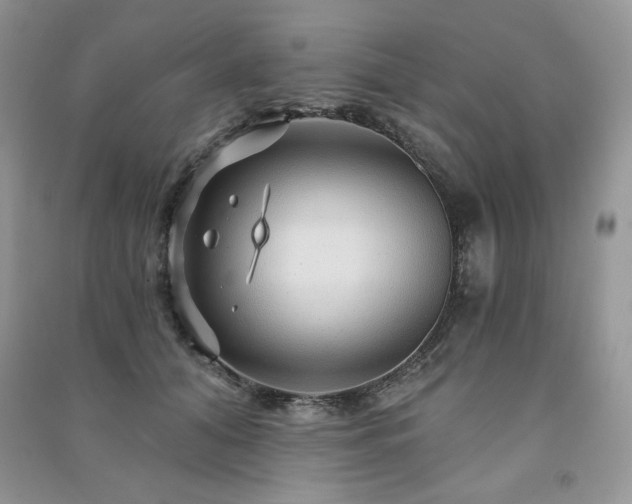 X0000091210608200708091349