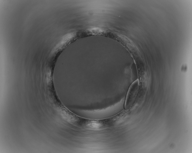X0000091210610200708091349