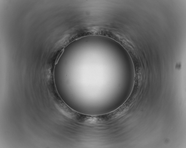 X0000091210611200708091349