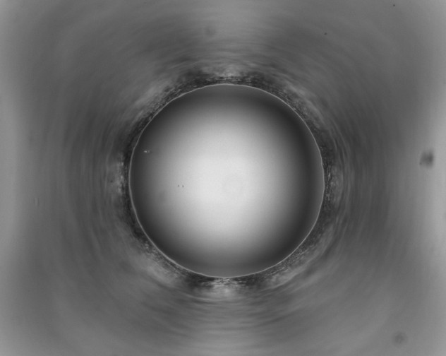 X0000091210612200708091349