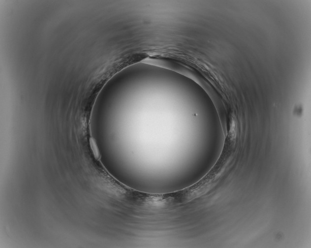 X0000091210613200708091349