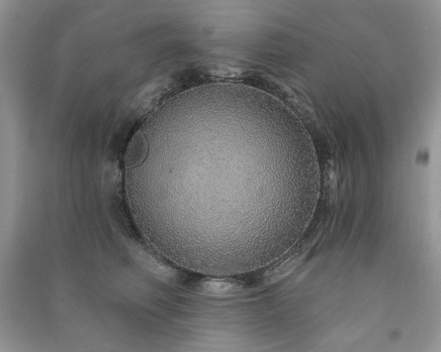 X0000091210614200708091349