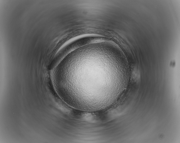 X0000091210616200708091349