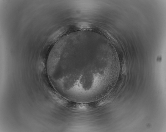 X0000091210618200708091348