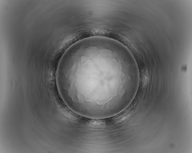 X0000091210619200708091348