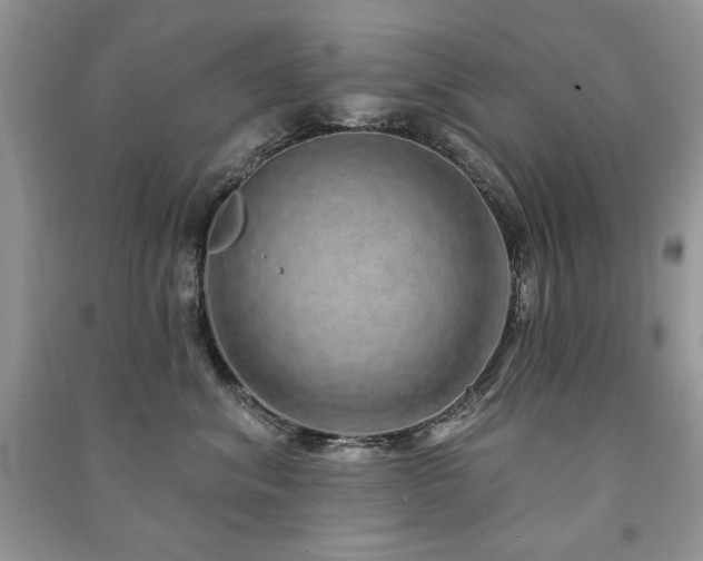 X0000091210620200708091348