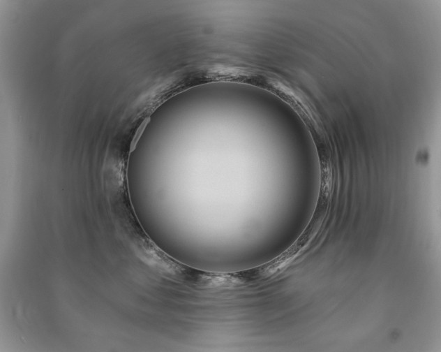 X0000091210621200708091348