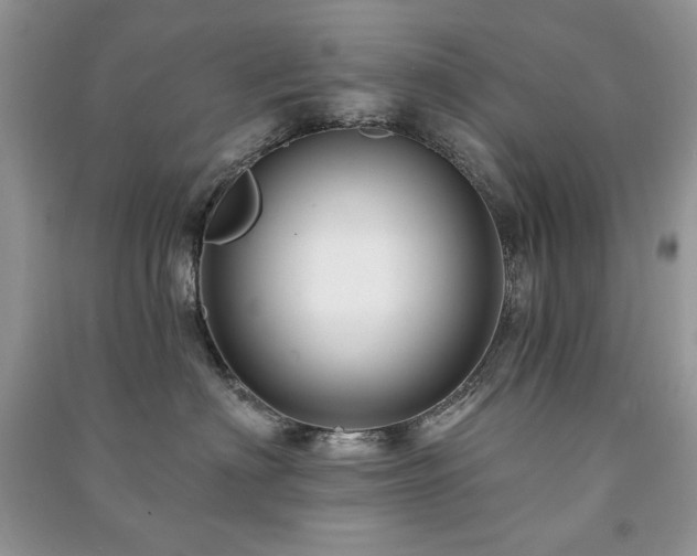 X0000091210622200708091348