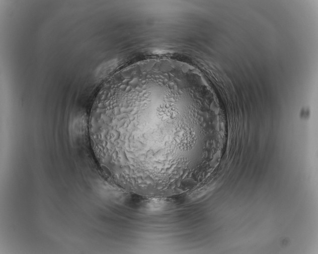 X0000091210623200708091348