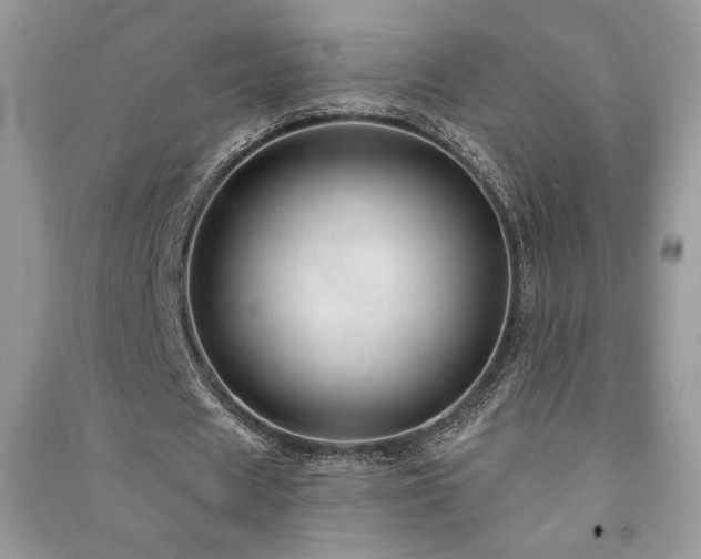 X0000091210625200708091348