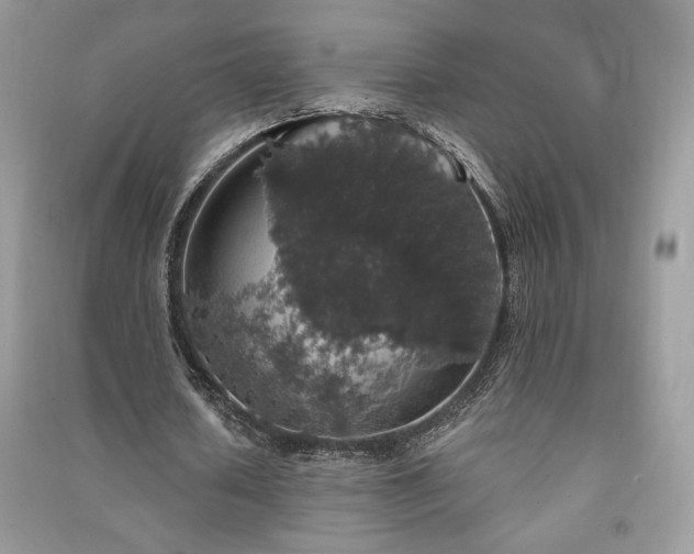 X0000091210626200708091348