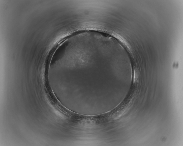 X0000091210627200708091348