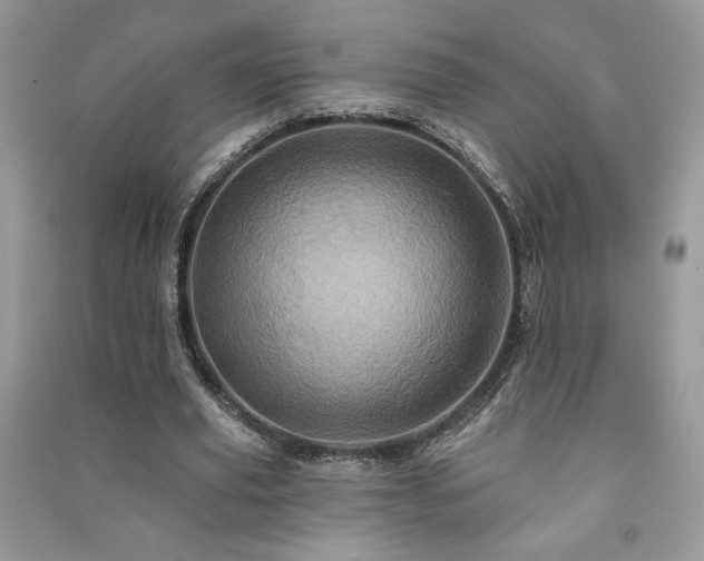 X0000091210629200708091348