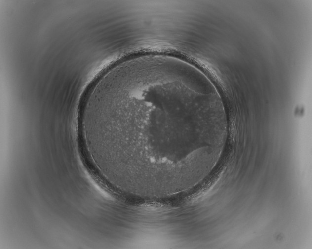 X0000091210630200708091348