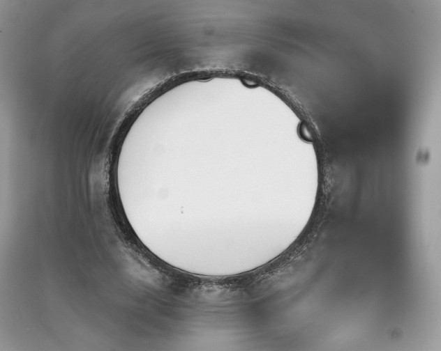 X0000091210632200708091348