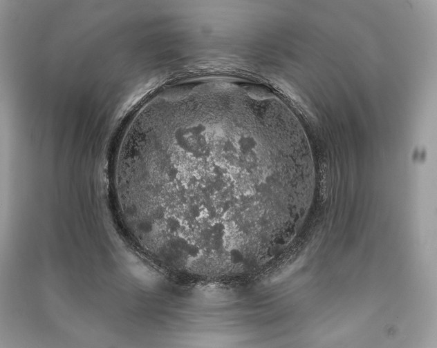 X0000091210634200708091348